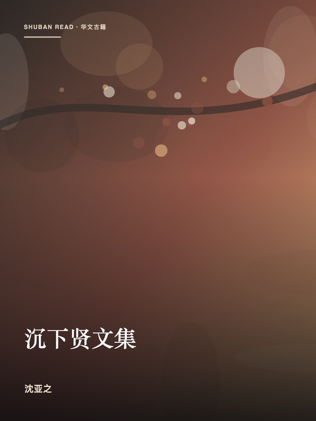 《沉下贤文集》封面