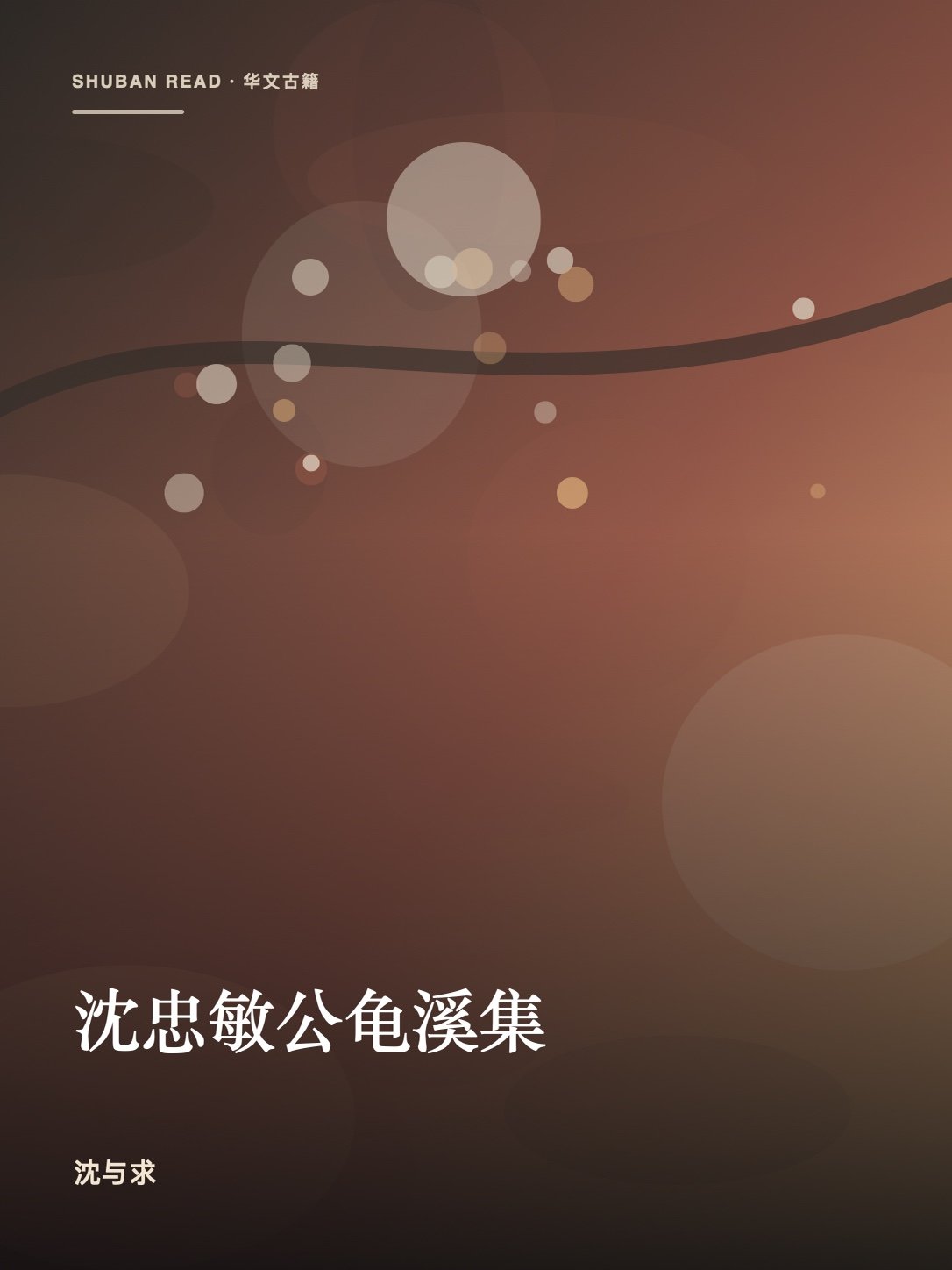 《沈忠敏公龟溪集》封面